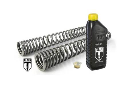 Progressive fork springs for BMW RnIneT (2017-2020)