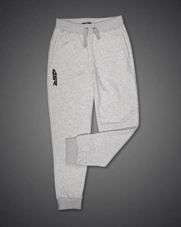 SPODNIE DRESOWE JOGGERS 4SR TEAM GREY