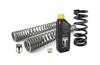 BLACK-T progressive replacement springs for Suzuki VS 1400 GL INTRUDER (Boulevard S83) 1987 - 2009