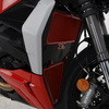 OSŁONA CHŁODNICY RG RACING DUCATI STREETFIGHTER V2 '22- (2-PIECE KIT)